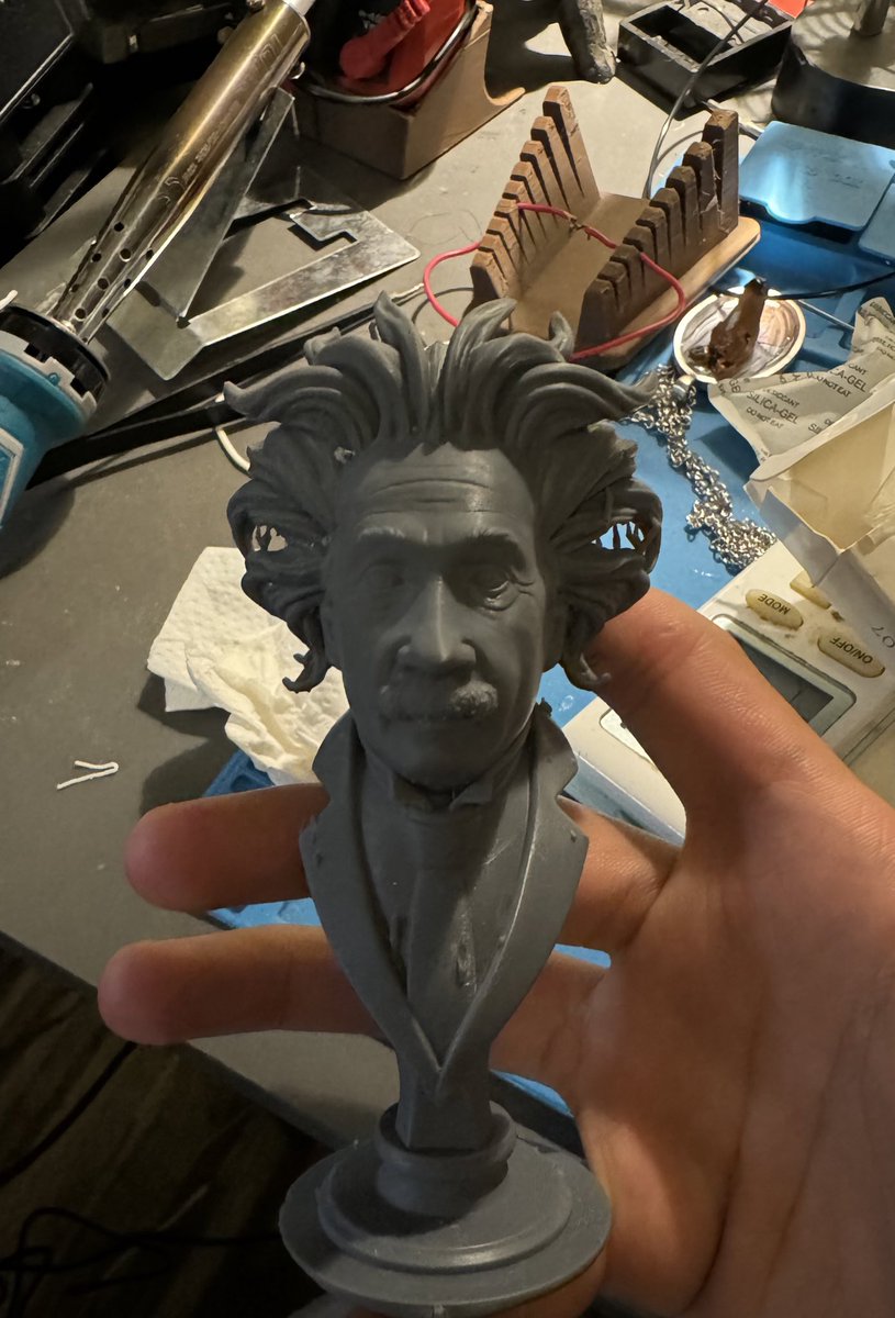 Einstein resin print front view