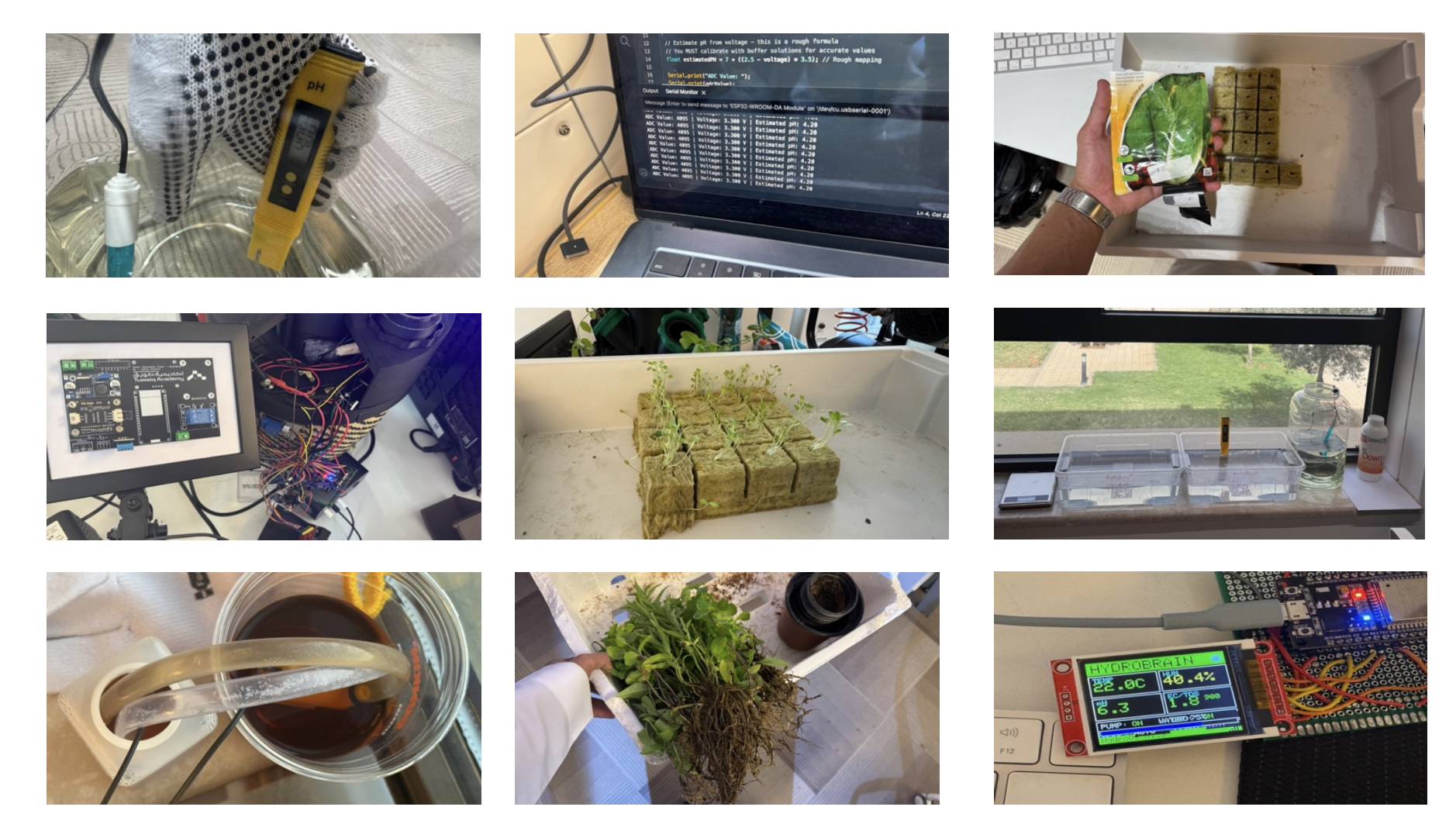 HydroBrain - Prototype & Testing media